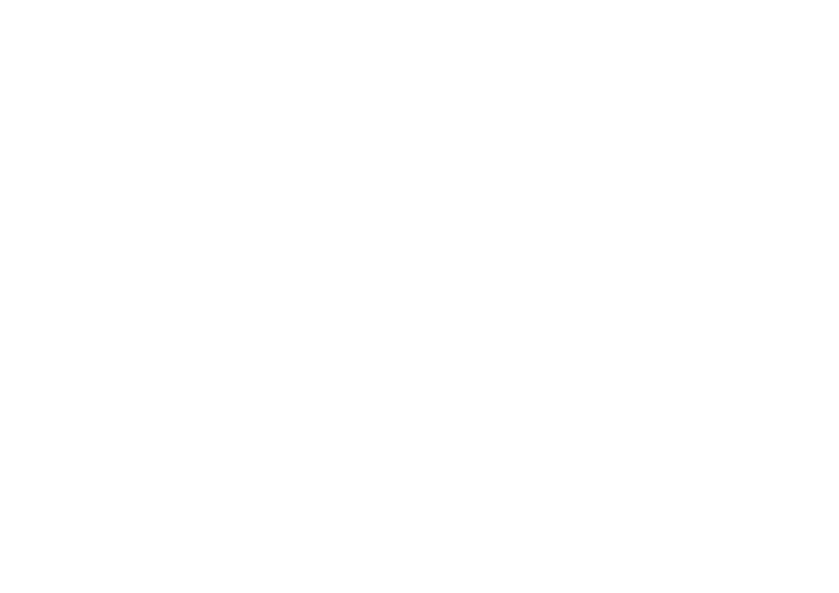 ZYNZ Logo Transparent White